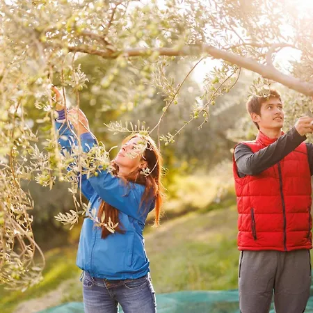 بيت للعطل Norbin *