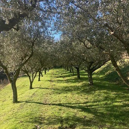 Vakantiehuis Norbin Gračišče