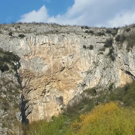 Norbin * Gračišče