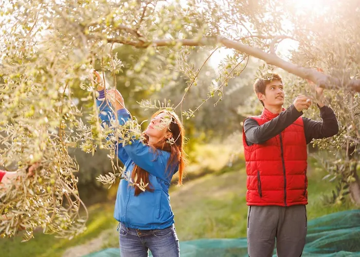 בית נופש Norbin *