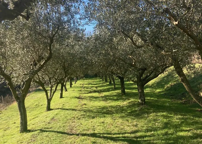 Vakantiehuis Norbin Gračišče