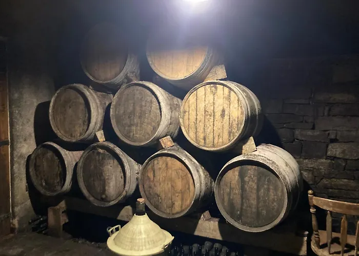 Norbin * Gračišče